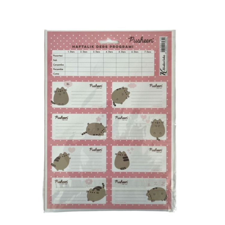 KESKİN PUSHEEN DERS PROG. ETİKET 3LÜ PK:50Lİ