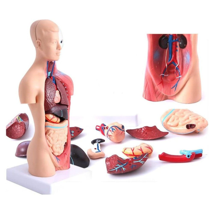 Sodyum Klorür Kristal Yapı Modeli