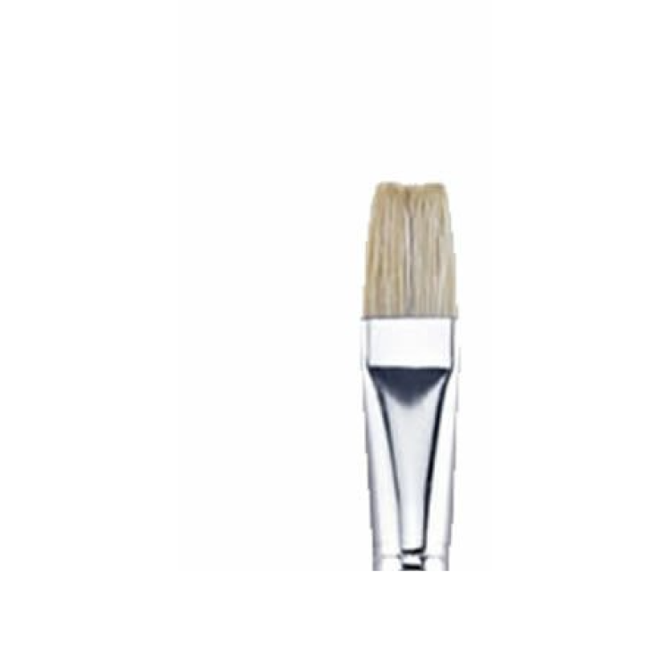 BRONS BR-519 YAĞLI AKRİLİK BOYA FIRÇASI NO:18 12Lİ