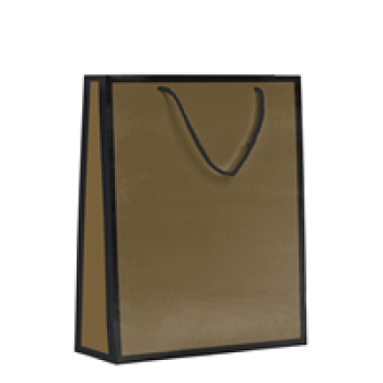 26x40x8 Karton Çanta 10lu -Mat Altın- 26x40x8 Karton Çanta 10lu -Mat Altın-