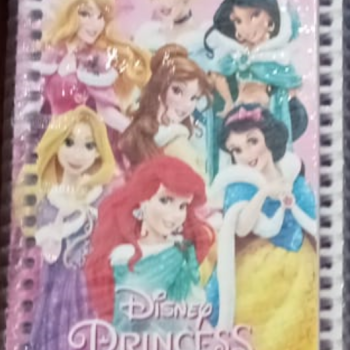 NOT DEFTERİ SPİRALLİ A6 50YP 12li PRENSES B01