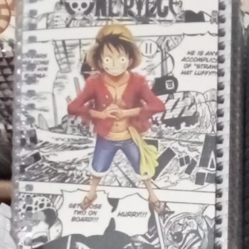 NOT DEFTERİ SPİRALLİ A6 50YP 12li  B01