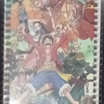 NOT DEFTERİ SPİRALLİ A6 50YP 12li  B01