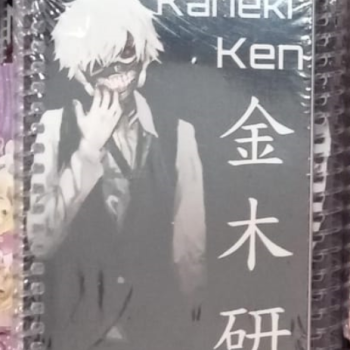 NOT DEFTERİ SPİRALLİ A6 50YP 12li  B01