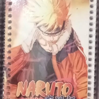 NOT DEFTERİ SPİRALLİ A6 50YP 12li  B01