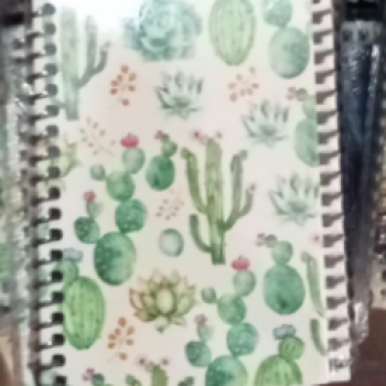 NOT DEFTERİ SPİRALLİ A6 50YP 12li  B01