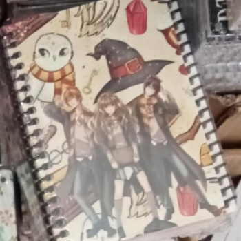 NOT DEFTERİ SPİRALLİ A6 50YP 12li  B01