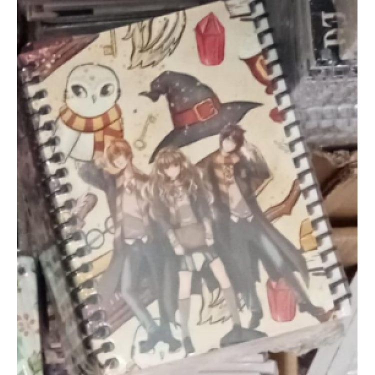 NOT DEFTERİ SPİRALLİ A6 50YP 12li  B01