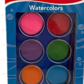 DOMİNİC SULU BOYA 12 RENK