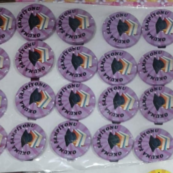 MOTİVASYON ROZETLERİ 20Lİ okuma şampiyonu