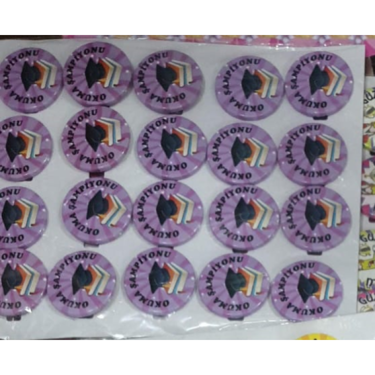 MOTİVASYON ROZETLERİ 20Lİ okuma şampiyonu