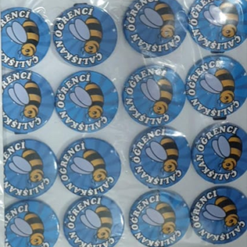 MOTİVASYON ROZETLERİ 20Lİ çalışkan öğrenci