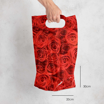 El Geçme Poşet San 100lü 20x30 El Geçme Poşet San 100lü 20x30