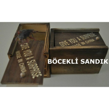 BÖCEKLİ SANDIK