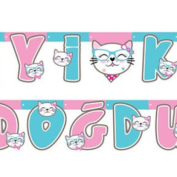 Banner İyi Ki Doğdun Mıss Cat Banner İyi Ki Doğdun Mıss Cat