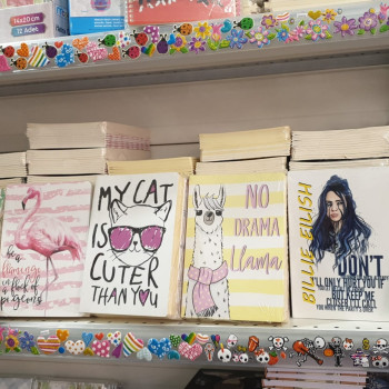 DİKİŞSİZ İVORY KAĞIT ÇİZGİSİZ HATIRA DEFTERİ 12Lİ