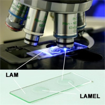 LAM DÜZ 50'Lİ PAKET LAM DÜZ 50'Lİ PAKET