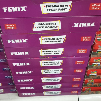 FENİX FN301 PARMAK BOYASI 15ml 6 Renk