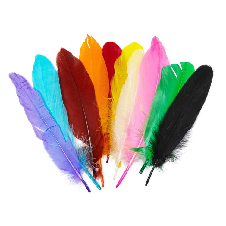 Renkli Tüy Küçük Boy 10'Lu