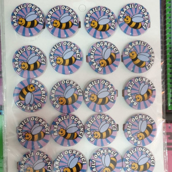 Başarılı Öğrenci Rozet 20'li