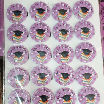 rozet örnek öğrenci yazılı *20