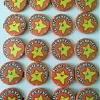 rozet yıldız öğrenci yazılı *20