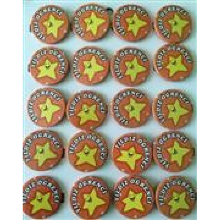 rozet yıldız öğrenci yazılı *20