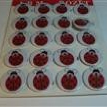 Rozet Uğur Böceği Modeli *20