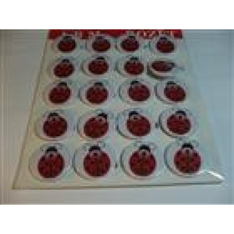 Rozet Uğur Böceği Modeli *20