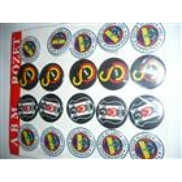 TARAFTAR ROZET 20Lİ