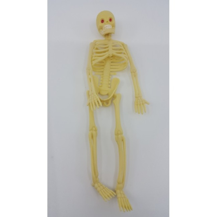 Silikon İskelet 17X5cm (box10)