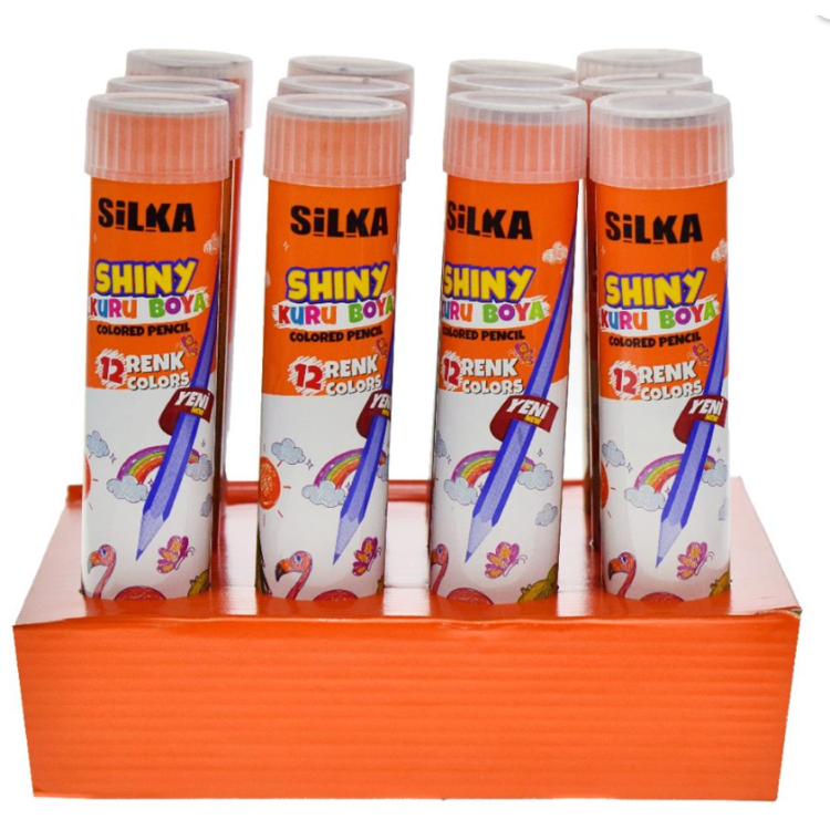 SİLKA METAL TÜP KURU BOYA 12 RENK *12