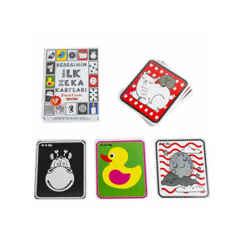 KUT.BEBEĞİMİN İLK ZEKA KARTLARI EĞİTİCİ