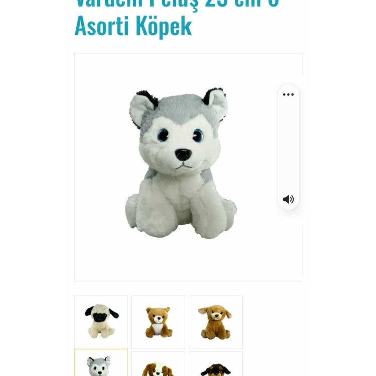 23 CM PELUŞ KÖPEK 6 ASORTİ