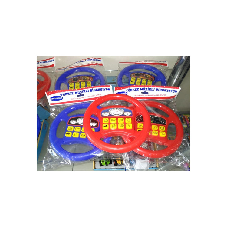 PVCDE PİLLİ TÜRKÇE SESLİ DİREKSİYON