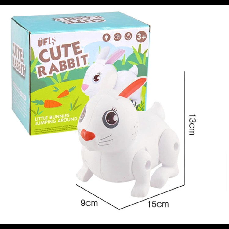 KUT.PİLLİ SESLİ IŞIKLI YÜRÜYEN TAVŞAN