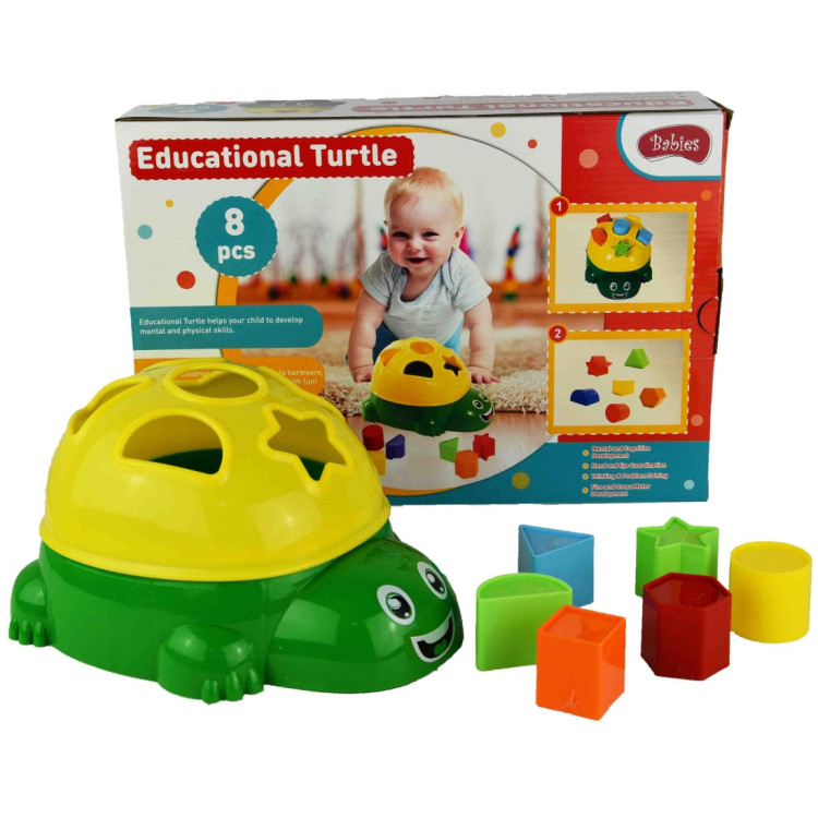 KUT.EĞİTİCİ KAMPLUMBAĞA BULTAK 8 PCS