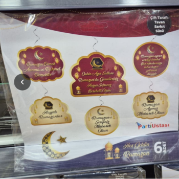 6 LI ÇİFT TARAFLI SARKIT SÜS -USTA-