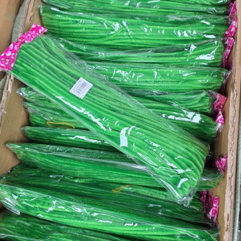 TEK RENK 30CM ŞÖNİL 100LÜ -AÇIKYEŞİL