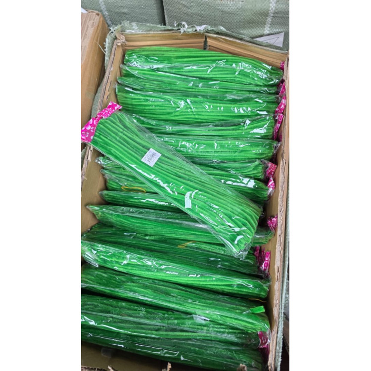 TEK RENK 30CM ŞÖNİL 100LÜ -AÇIKYEŞİL