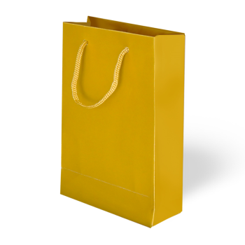 26x40x8 Karton Çanta 10lu -Altın-