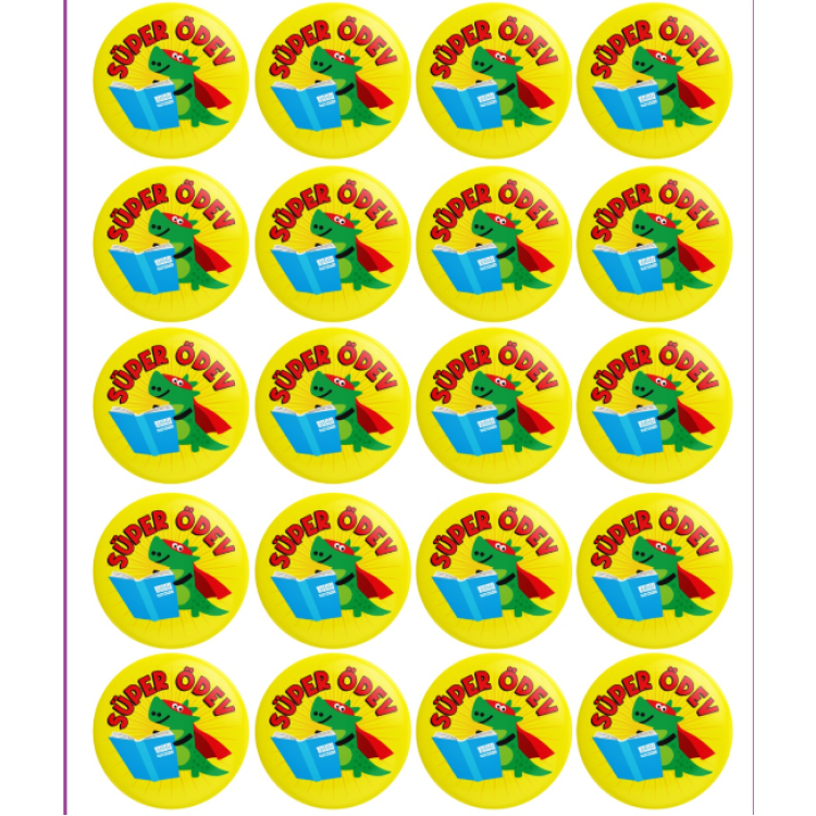 MOTİVASYON ROZETİ SÜPER ÖDEV 20Lİ -M06