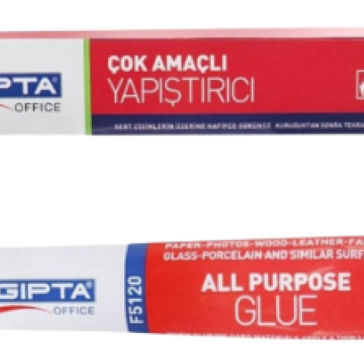 GIPTA ÇOK AMAÇLI YAPIŞTIRICI 90GR