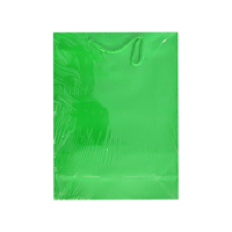 25x30x9 Karton Çanta 10lu -Yeşil-