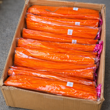 TEK RENK 30CM ŞÖNİL 100LÜ -TURUNCU