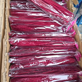 TEK RENK 30CM ŞÖNİL 100LÜ -BORDO