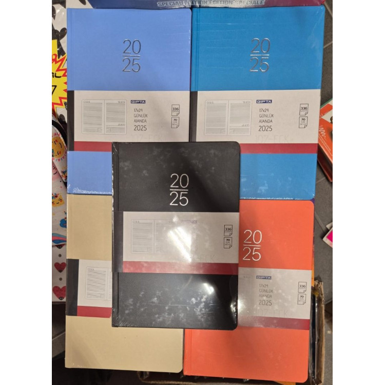 2025 GIPTA GÜNLÜK AJANDA 17X24  (FARKLI RENKLER)