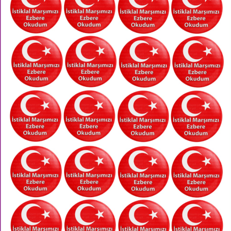 MOTİVASYON ROZETİ İSTİKLAL MARŞIMIZI EZBERE OKUDUM 20Lİ