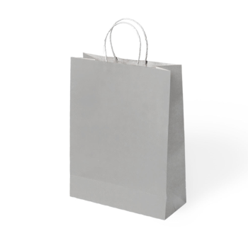 25x12x31 Büküm Saplı Poşet -Gümüş- 25x12x31 Büküm Saplı Poşet -Gümüş-