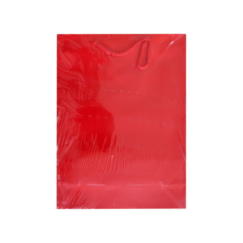 25x30x9 Karton Çanta 10lu -Kırmızı-